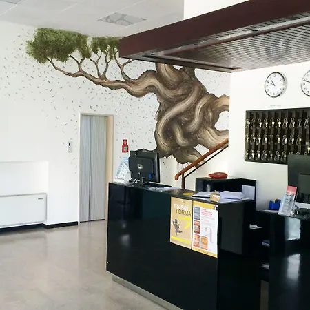 Lh Arca Street Art 3* Spolète