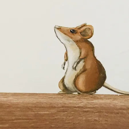 Lh Arca Street Art Hotel Spolète