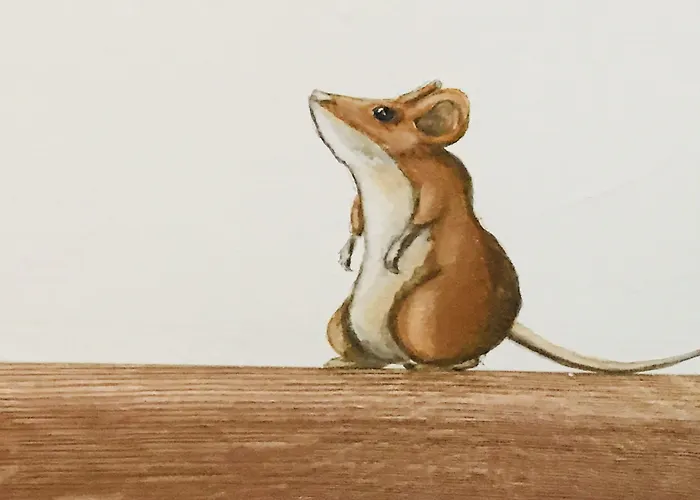 Lh Arca Street Art Hotel Spoleto